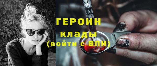 хмурый Белокуриха
