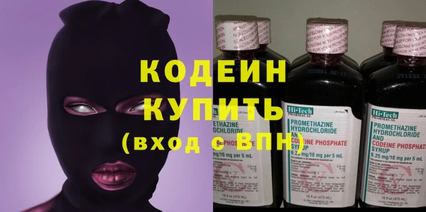 хмурый Белокуриха