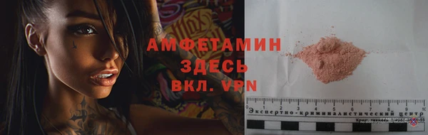 хмурый Белокуриха