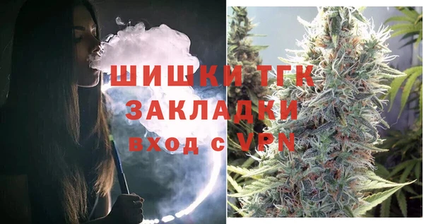 хмурый Белокуриха