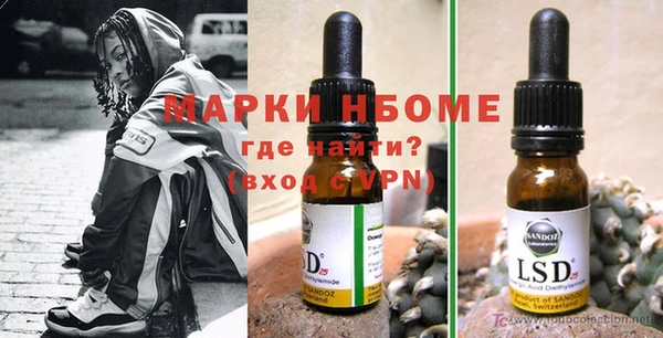 хмурый Белокуриха