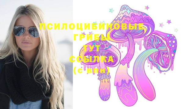 эйфоретик Беломорск