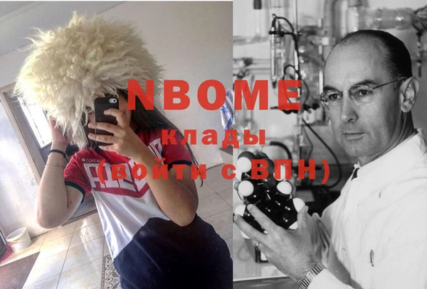 хмурый Белокуриха