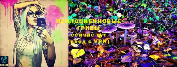 эйфоретик Беломорск