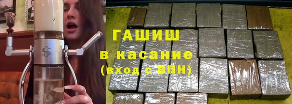 хмурый Белокуриха