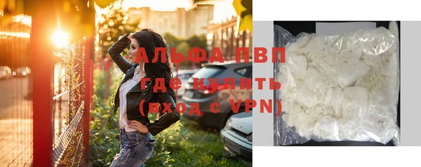 хмурый Белокуриха